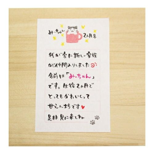 そえぶみ箋 ﾏｸﾞｶｯﾌﾟにゃんこ