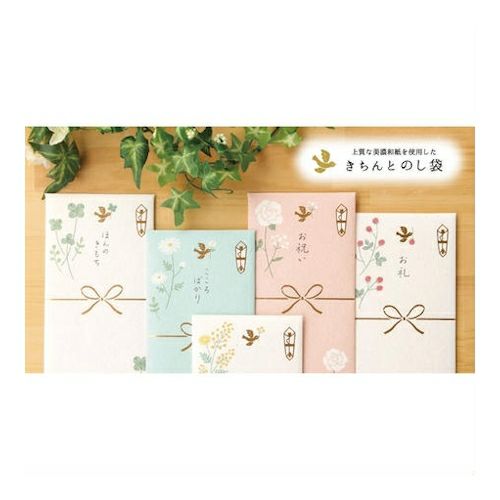 きちんとのし袋 こころばかり