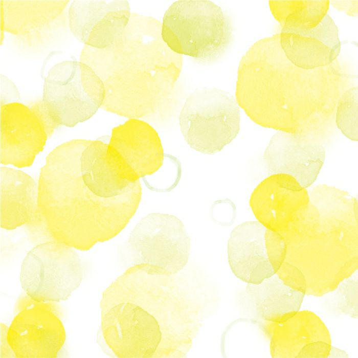 おりがみ 自然の色 ｲﾛいろ堂