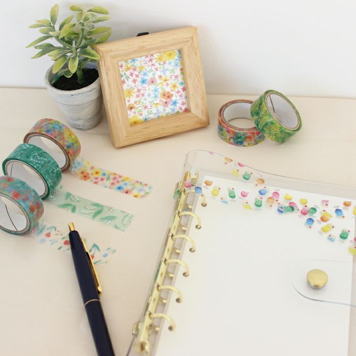 ｵﾝﾗｲﾝ限定 ｸﾘｱﾃｰﾌﾟ ﾁｭｰﾘｯﾌﾟ