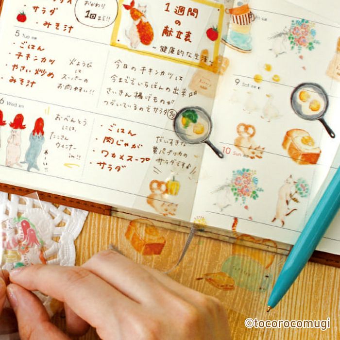 透明ｼｰﾙｼｰﾄ picnic ﾄｺﾛｺﾑｷﾞ