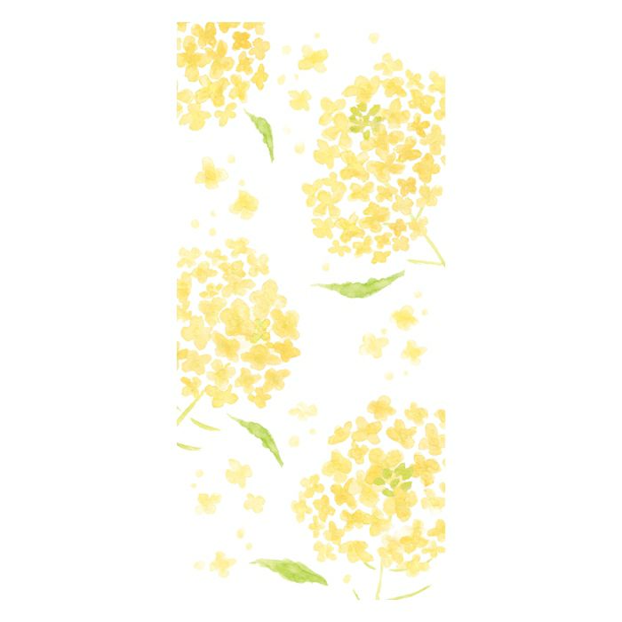 今日のお手紙 菜の花