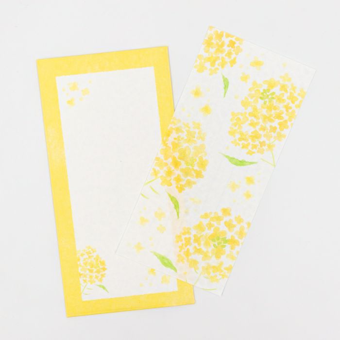 今日のお手紙 菜の花