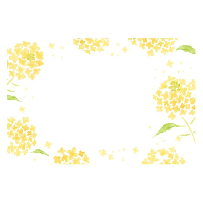 今日のお手紙ﾚﾀｰｾｯﾄ 菜の花