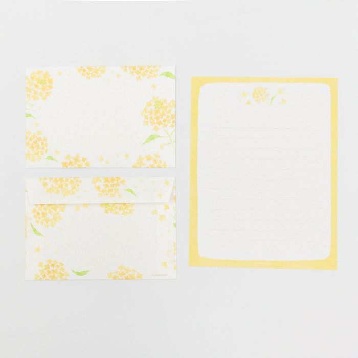 今日のお手紙ﾚﾀｰｾｯﾄ 菜の花