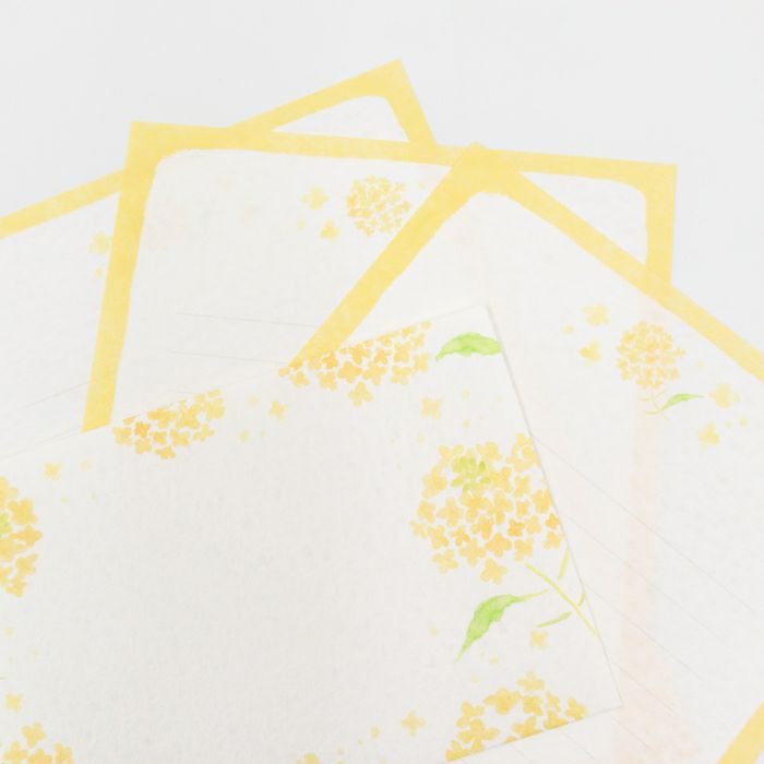 今日のお手紙ﾚﾀｰｾｯﾄ 菜の花