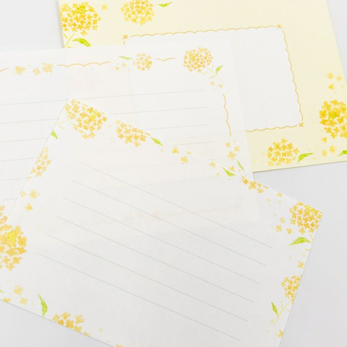 お手紙美人 菜の花