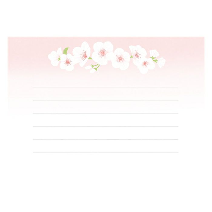 お手紙美人 さくら白